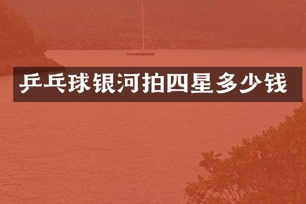 乒乓球银河拍四星多少钱