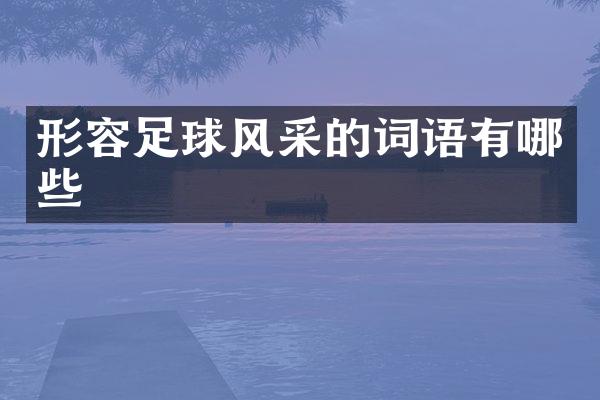 形容足球风采的词语有哪些