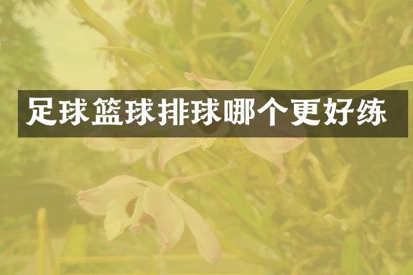 足球篮球排球哪个更好练