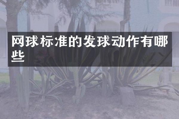 网球标准的发球动作有哪些