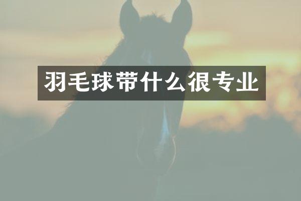 羽毛球带什么很专业