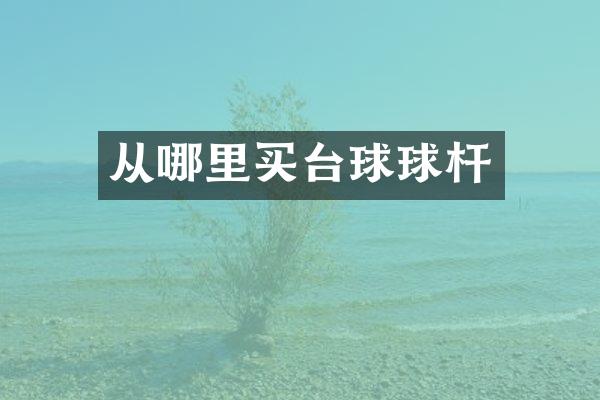 从哪里买台球球杆