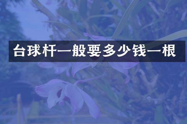 台球杆一般要多少钱一根