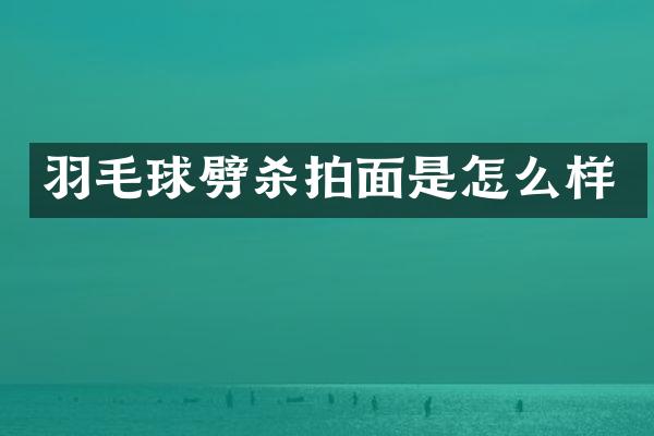 羽毛球劈杀拍面是怎么样