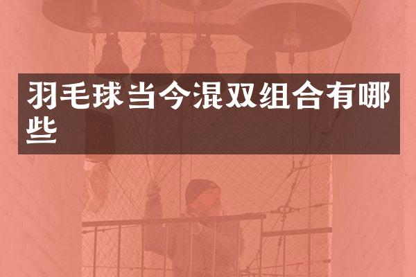 羽毛球当今混双组合有哪些