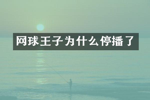 网球王子为什么停播了