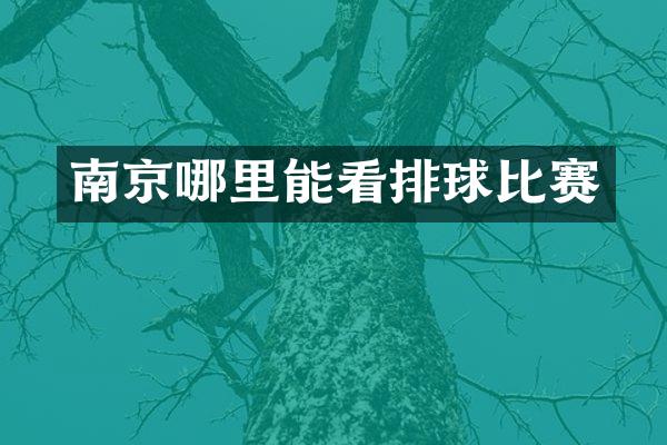 南京哪里能看排球比赛