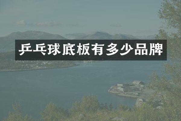 乒乓球底板有多少品牌