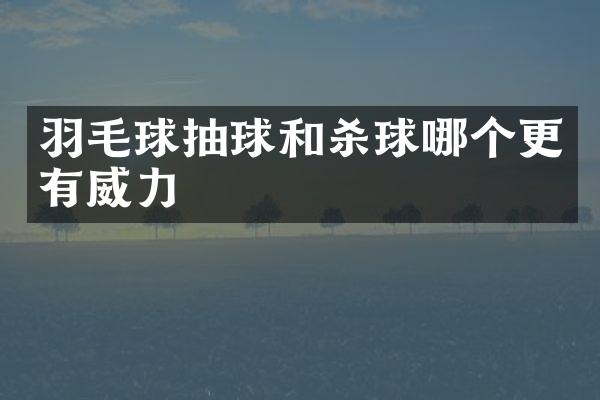 羽毛球抽球和杀球哪个更有威力