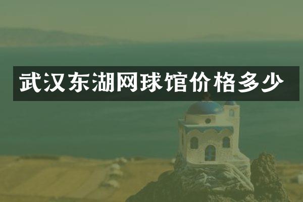 武汉东湖网球馆价格多少