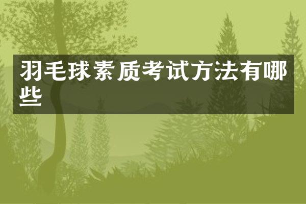 羽毛球素质考试方法有哪些
