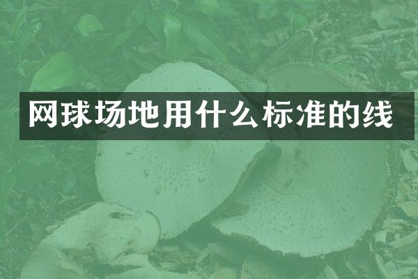 网球场地用什么标准的线