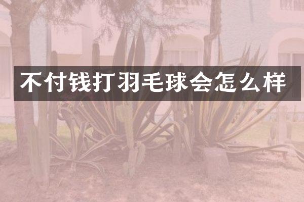 不付钱打羽毛球会怎么样