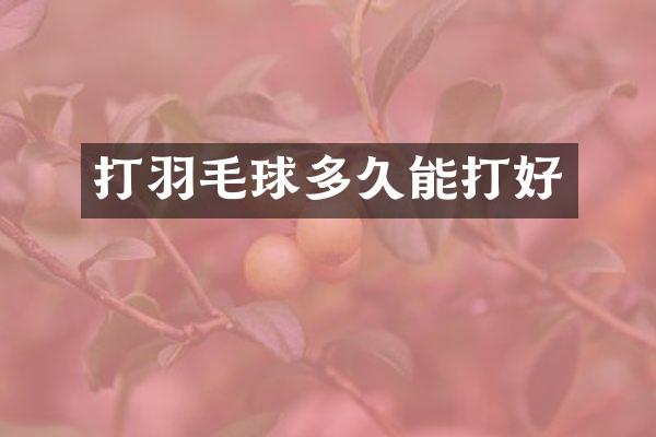 打羽毛球多久能打好