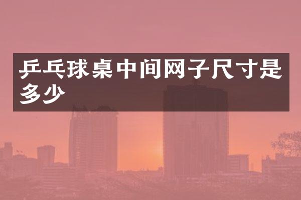 乒乓球桌中间网子尺寸是多少