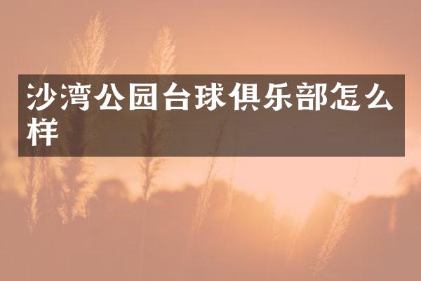沙湾公园台球俱乐部怎么样