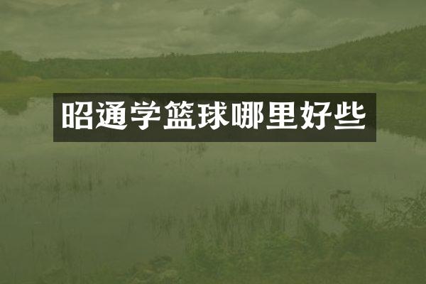昭通学篮球哪里好些