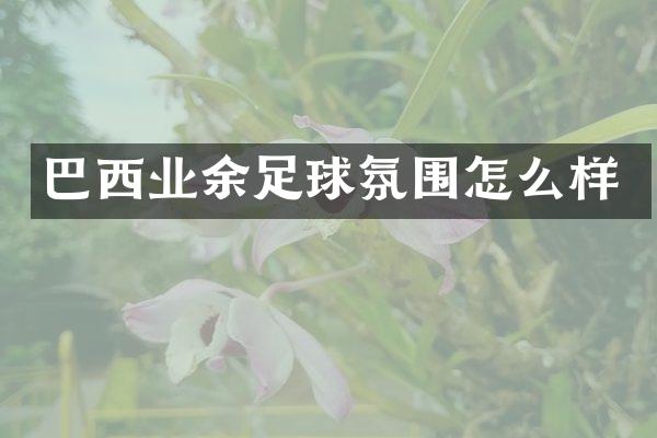 巴西业余足球氛围怎么样