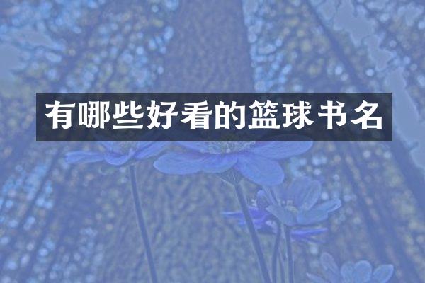 有哪些好看的篮球书名