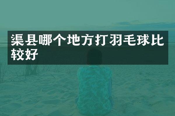 渠县哪个地方打羽毛球比较好