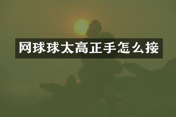 网球球太高正手怎么接