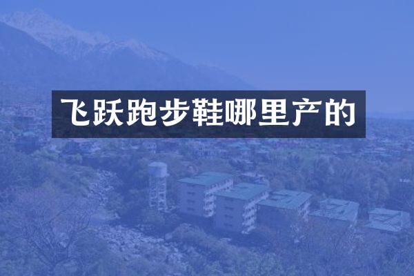 飞跃跑步鞋哪里产的
