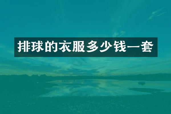 排球的衣服多少钱一套
