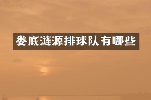 娄底涟源排球队有哪些