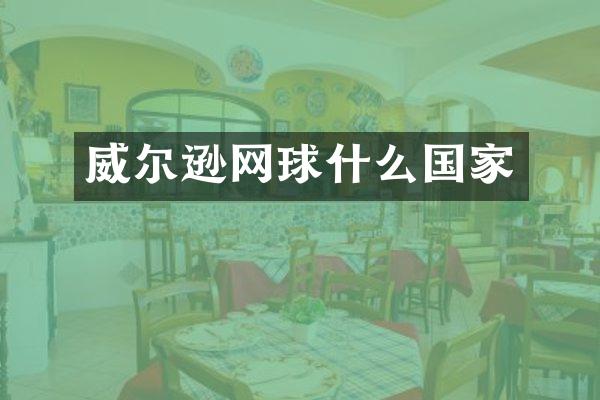 威尔逊网球什么国家