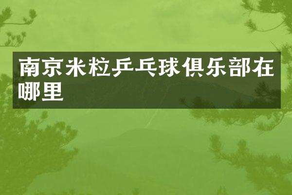 南京米粒乒乓球俱乐部在哪里