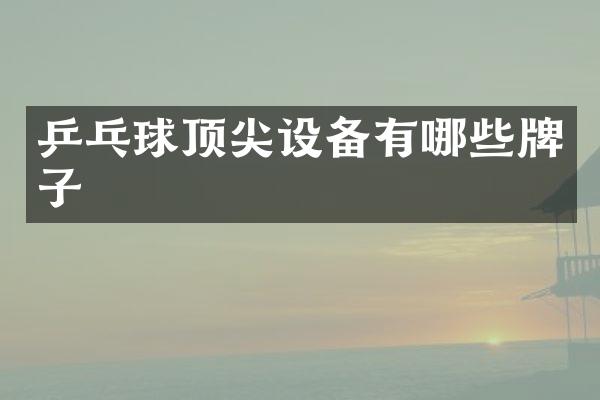 乒乓球顶尖设备有哪些牌子