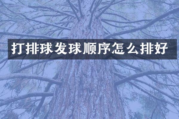 打排球发球顺序怎么排好