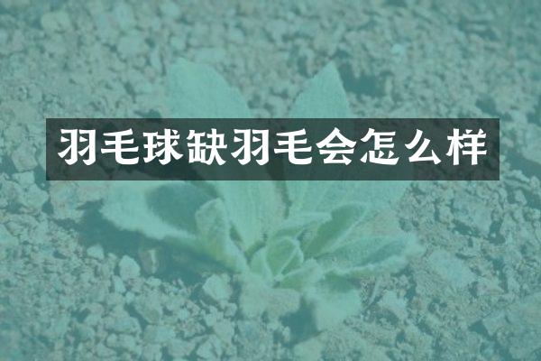 羽毛球缺羽毛会怎么样