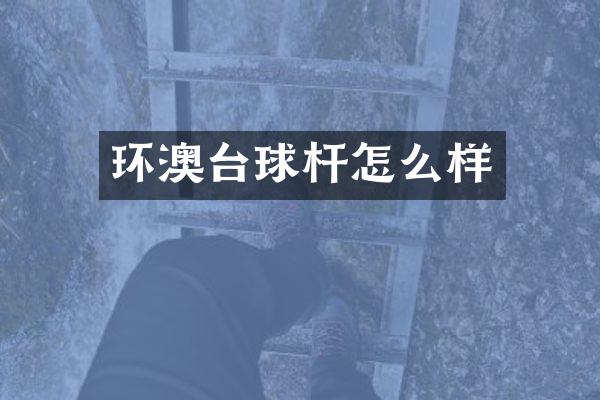 环澳台球杆怎么样