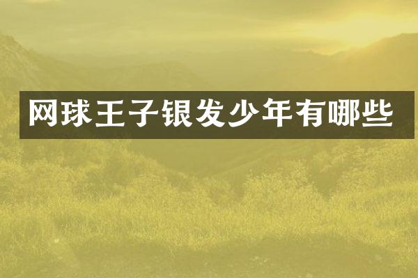 网球王子银发少年有哪些