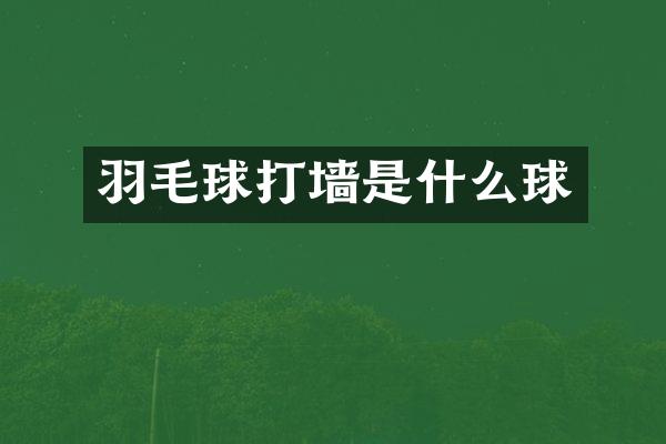 羽毛球打墙是什么球
