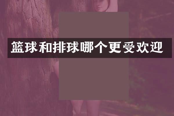 篮球和排球哪个更受欢迎