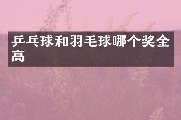 乒乓球和羽毛球哪个奖金高
