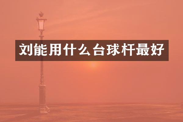 刘能用什么台球杆最好