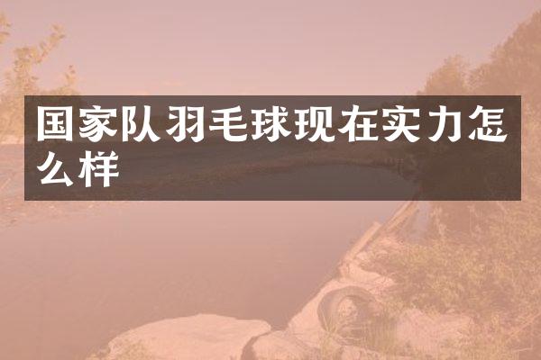 国家队羽毛球现在实力怎么样