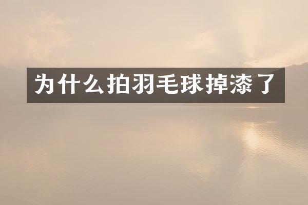 为什么拍羽毛球掉漆了