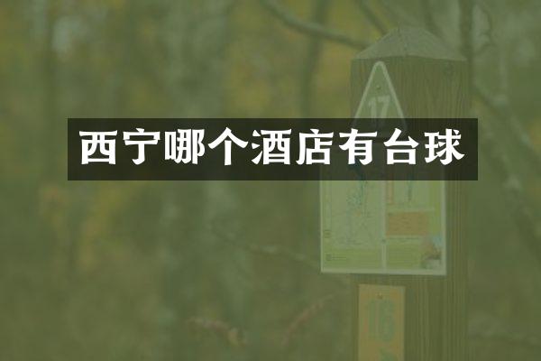 西宁哪个酒店有台球