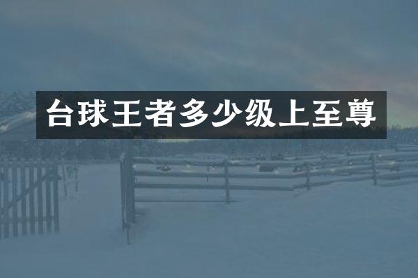 台球王者多少级上至尊
