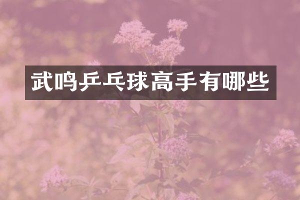 武鸣乒乓球高手有哪些