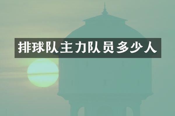 排球队主力队员多少人