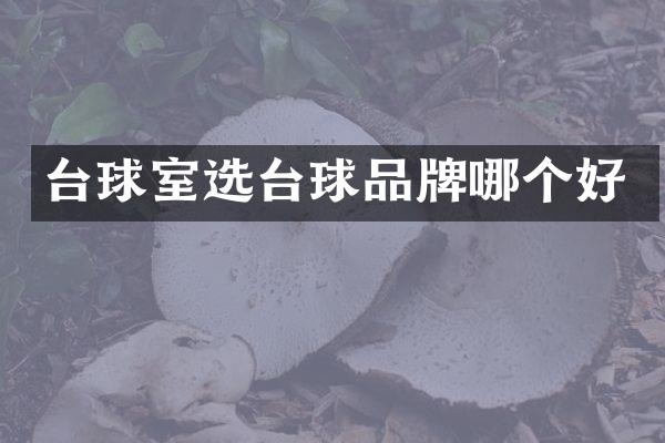 台球室选台球品牌哪个好