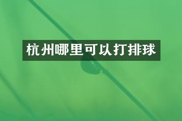 杭州哪里可以打排球