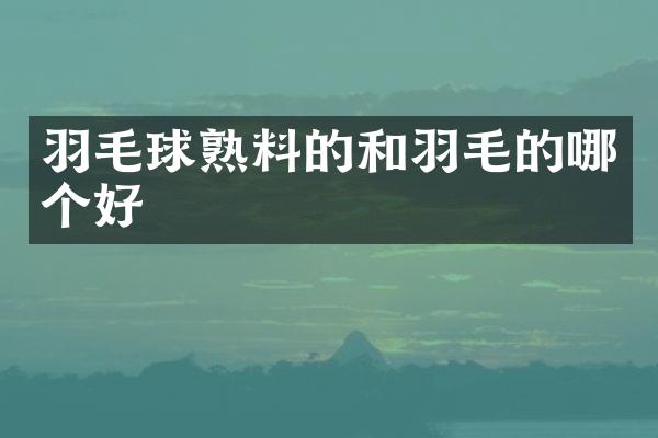 羽毛球熟料的和羽毛的哪个好