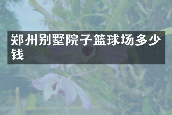 郑州别墅院子篮球场多少钱