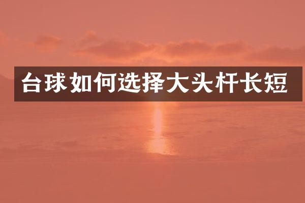 台球如何选择大头杆长短